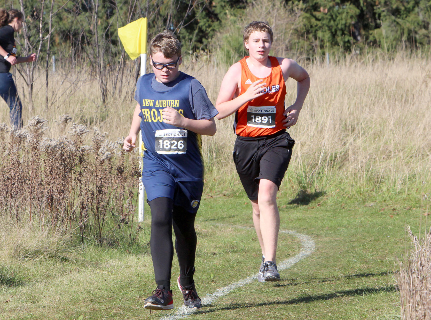 Division 3 Cross Country Sectionals in Boyceville 10-26-19